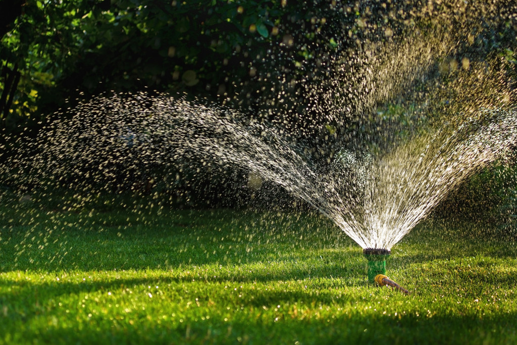 Grass Sprinkler in Action. Irrigation system - device of watering in the garden. Lawn sprinkler on the Golf course - spraying water over green grass.